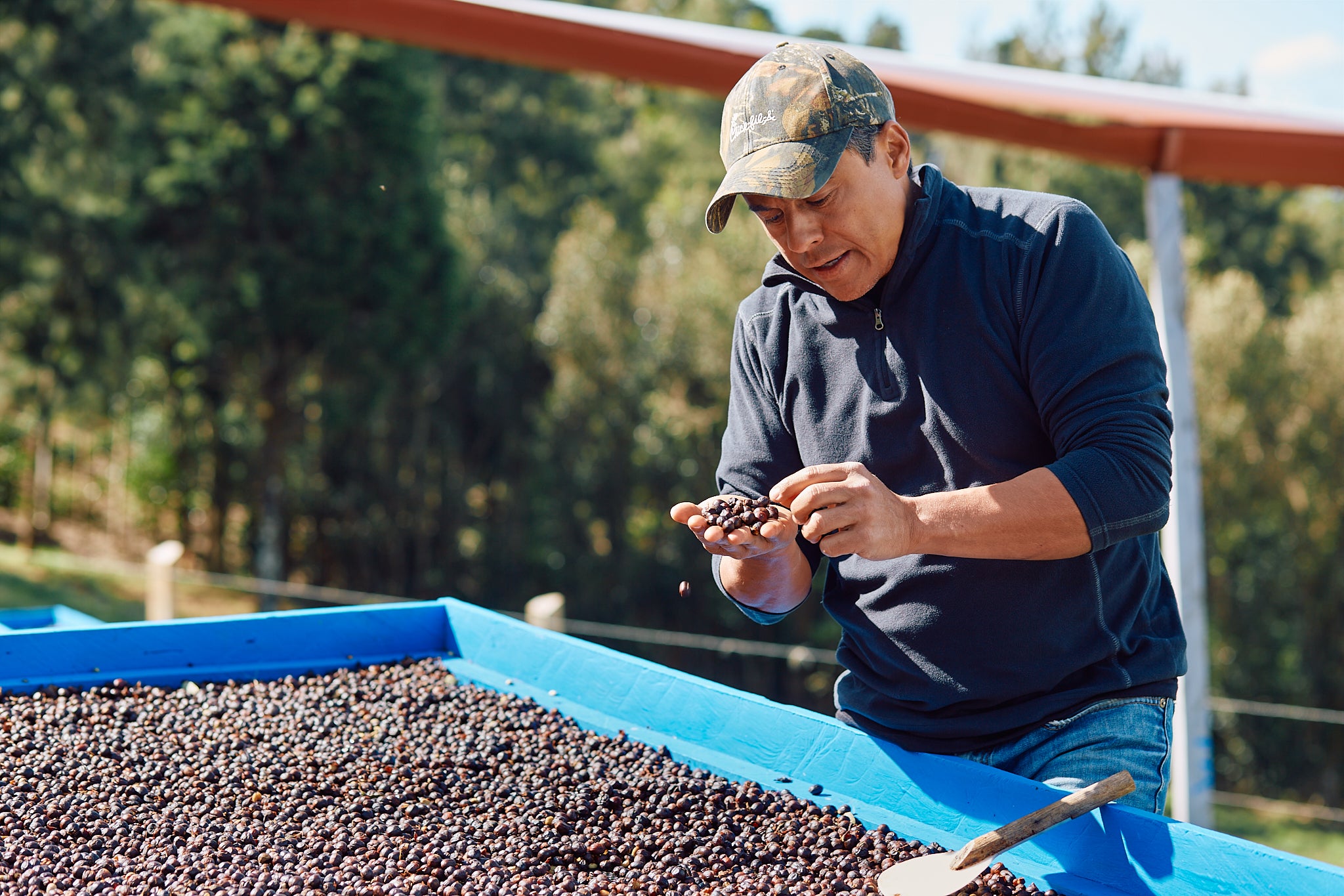 La révolution des Micro-Mills avec Francisco Mena