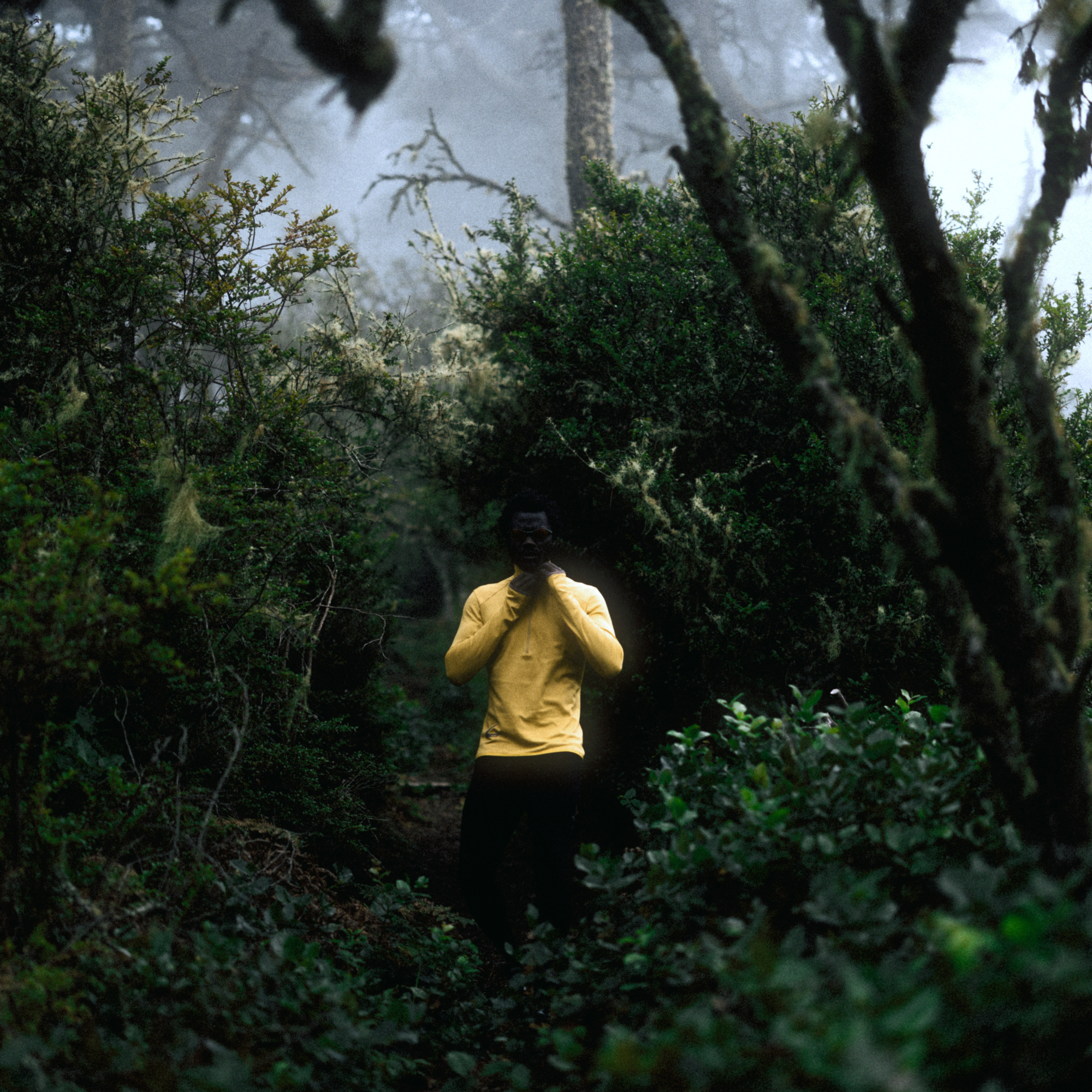 SOAR Running – Faux Mouvement
