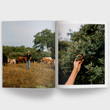 Dinette - Éléments | Numéro 25