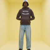 Parkhaven Hoodie | Chocolat