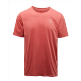 Polartec Aylen T-Shirt | Dust