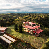 Hachi – Panama