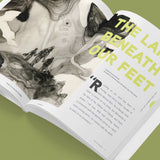 Like the Wind | Numéro 44