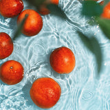 Radial Summer Blend