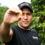 Hachi – Panama