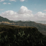 Chilaka Honey – Ethiopia