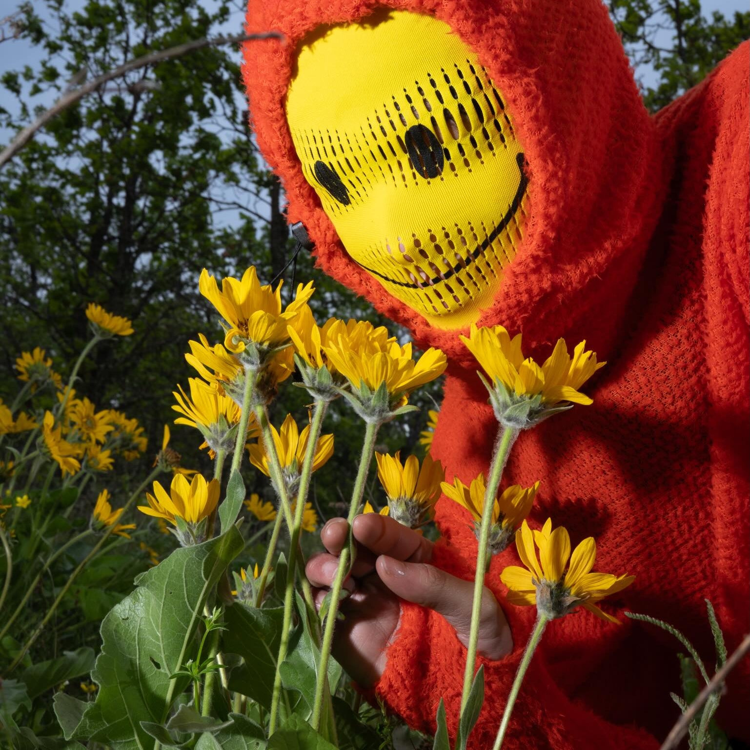 Warp Gaiter | Smiley