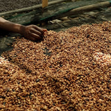 Chilaka Honey – Ethiopia