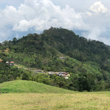 Boyoca Community Blend - Colombie