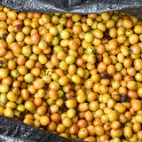 Ulises Nayra - Péru