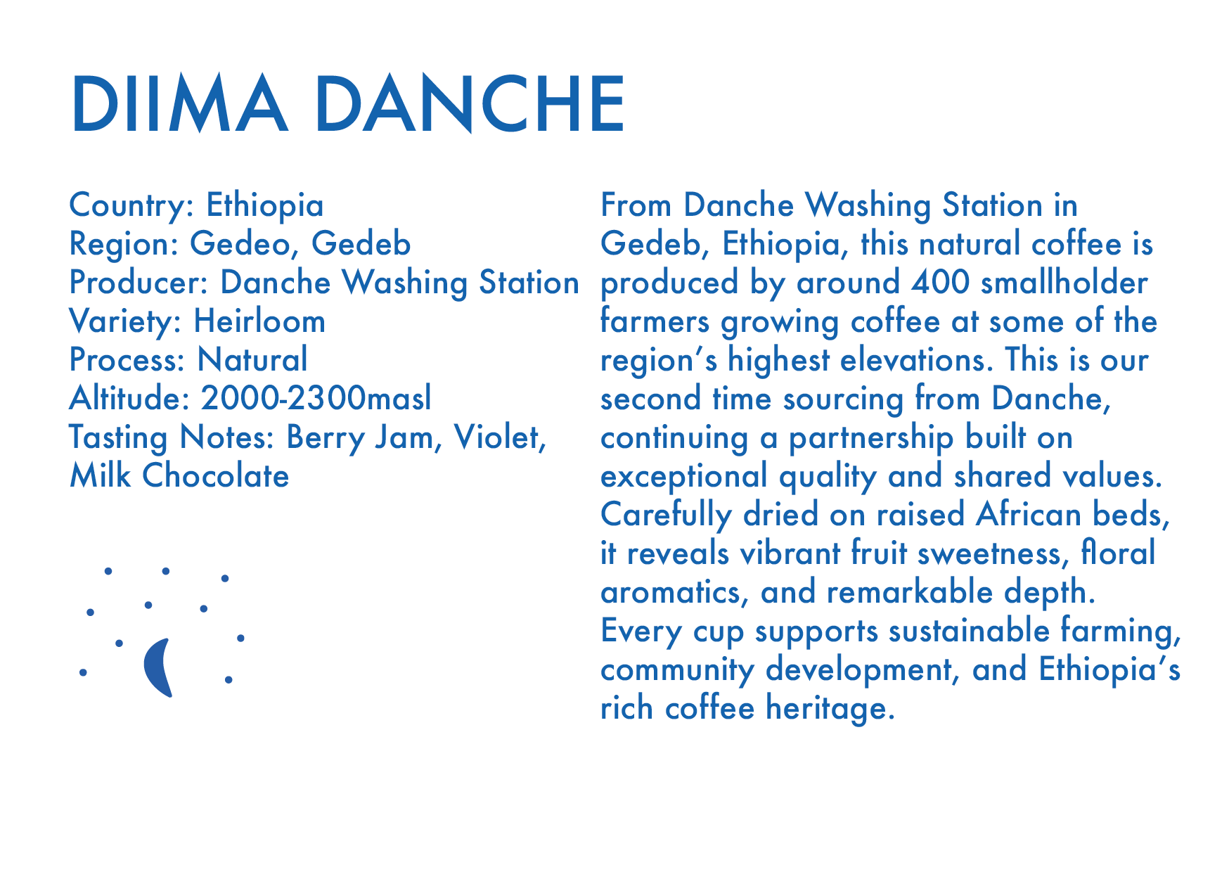 Diima Danche – Éthiopie