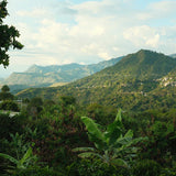Finca La Indonesia – Colombie