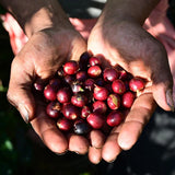 Familia Minga - Péru