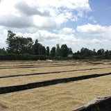 Karimikui AA – Kenya