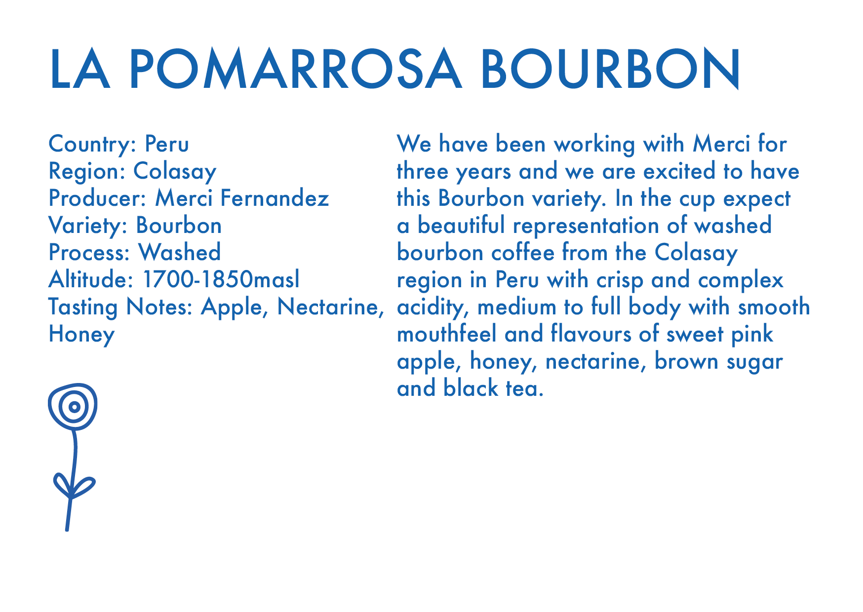 La Pomarrosa Bourbon – Pérou