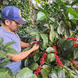 La Joya Naturel – Colombie