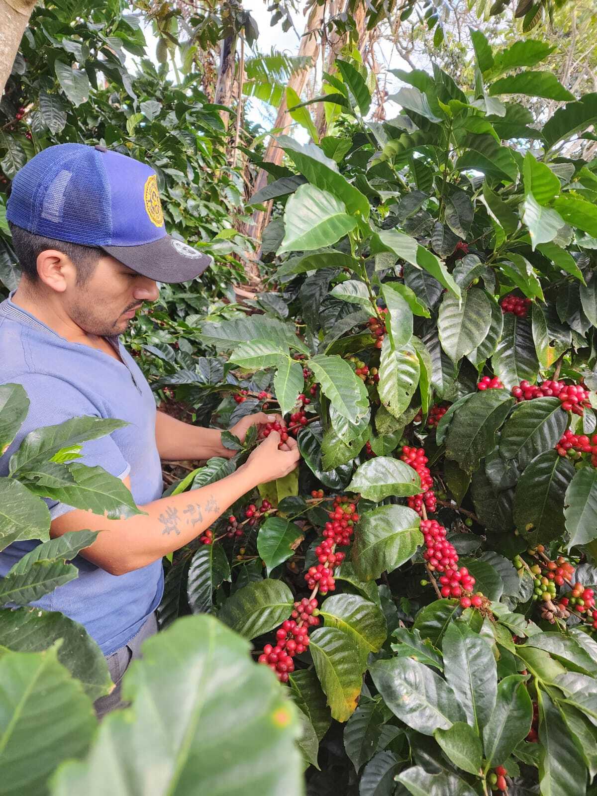 Image de diapositive