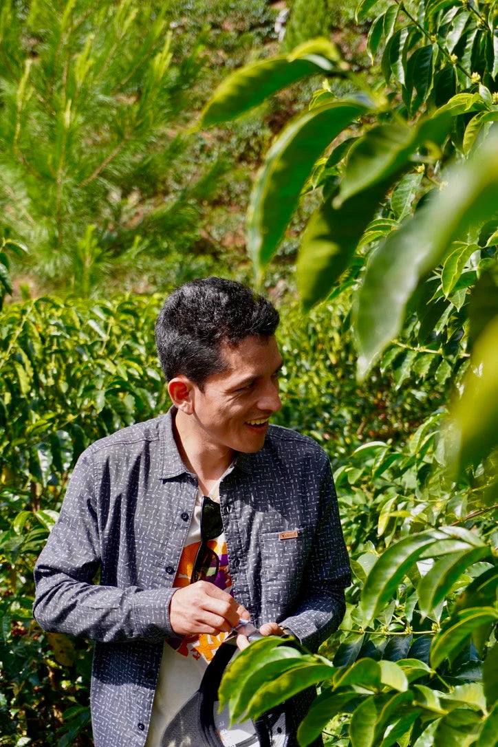 Image de diapositive