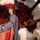 Giku – Burundi