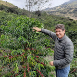 El Obraje Caturra Lavé – Colombie
