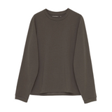 Root Hemp LS | Beluga