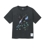 Image de diapositive