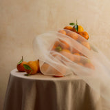 El Quizarra – Costa Rica